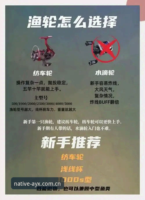 原生入口AYX赛前分析专栏手机版避坑操作教程，新手别再踩这些雷